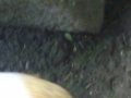 IMGP0832.JPG
